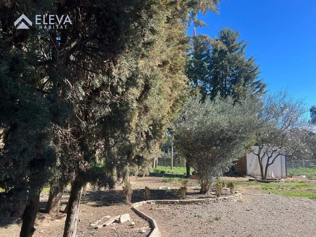 Interior del {Solar} a {La cerdera}